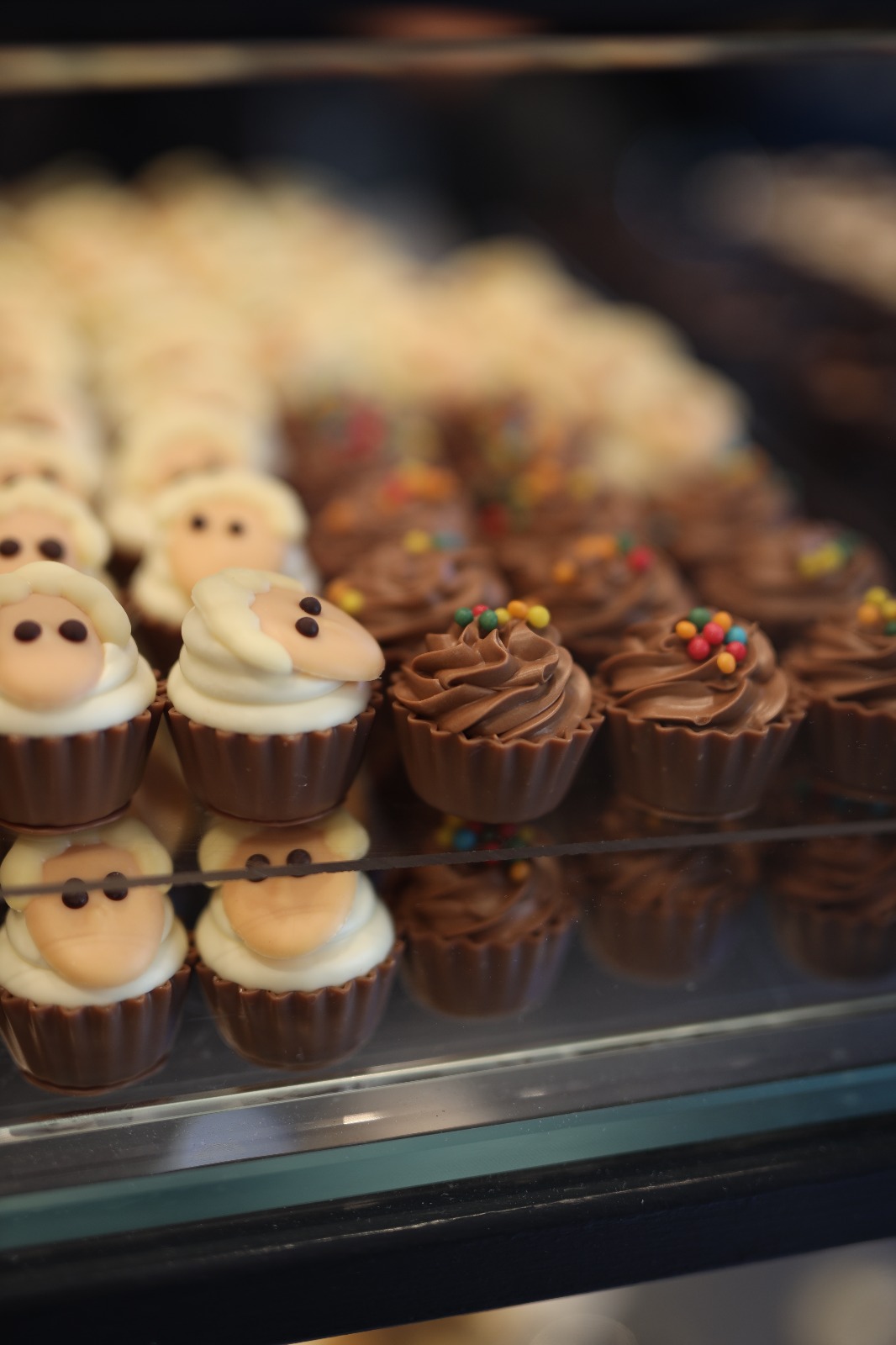 WhatsApp Image 2020-07-28 at 5.40.51 PM (2).jpeg.jpeg